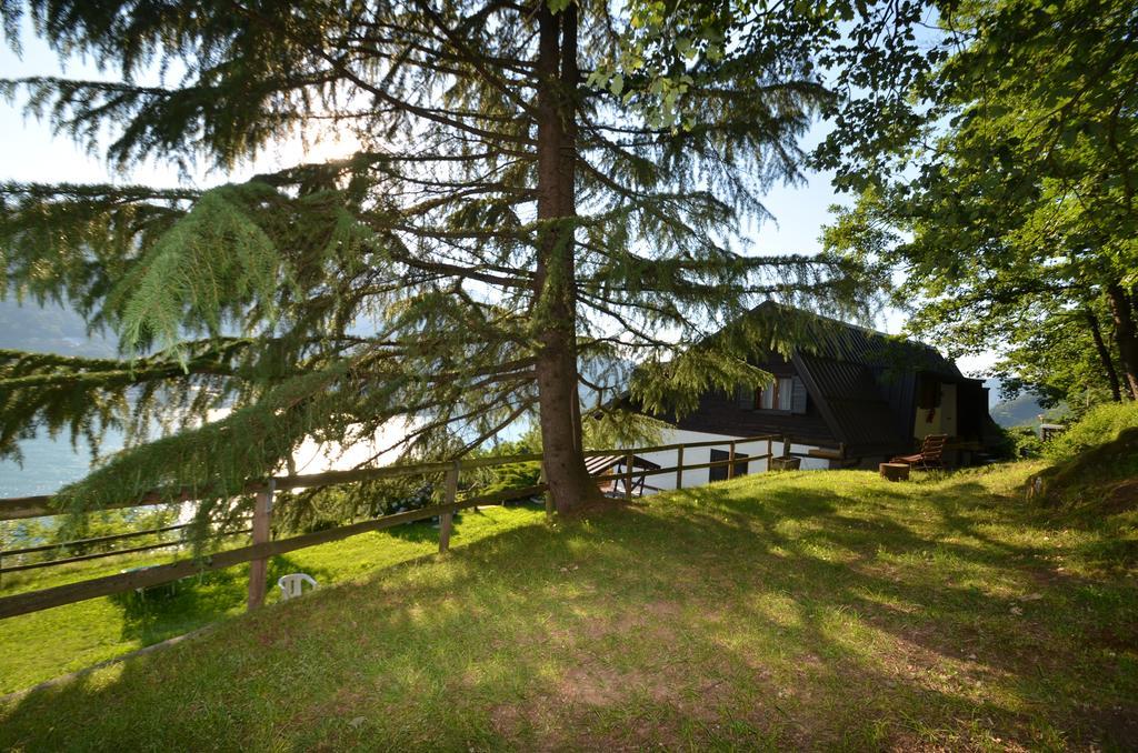 Trentino Appartamenti Oss Tenna ภายนอก รูปภาพ
